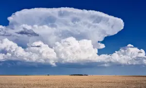 Potężna chmura burzowa w kształcie grzyba wznosi się nad polem dojrzałej pszenicy, pokazując, jak wysoko są chmury.