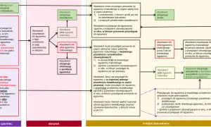 Schemat dla biologia klasa 3 liceum: ścieżki absolwenta po maturze, zdaniu lub niezdaniu egzaminów, poprawkach i kolejnych próbach.