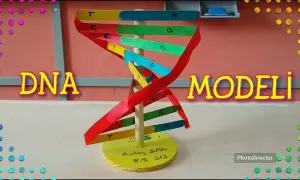Jak zrobić DNA na biologię: proste kroki do stworzenia modelu