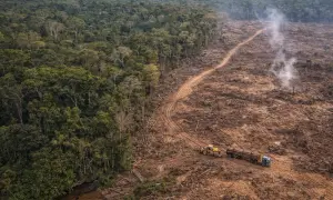 Widok z lotu ptaka na Amazonię, gdzie wylesianie niszczy las. Ciężarówka z drewnem i spychacz pracują na zniszczonym terenie, ukazując skutki wylesiania Amazonii.