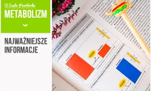 Co to jest metabolizm w biologii? Zrozum jego kluczowe znaczenie