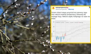 Wykres pokazuje rekordowe średnie temperatury w Polsce na przestrzeni lat. Widać wyraźnie odchylenia od normy, z dominacją rekordów ciepła.