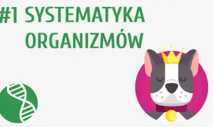 Co to jest systematyka w biologii i dlaczego jest tak ważna?