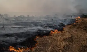 Pożar traw i dym unoszący się nad spalonym terenem. To obraz, który przypomina, co to jest efekt cieplarniany i jak niszczy naturę.