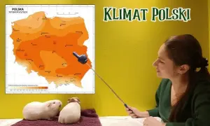 Co kształtuje klimat i opady w Polsce? Odkryj kluczowe czynniki