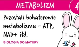 ATP w biologii: co to jest i jak wpływa na życie komórek