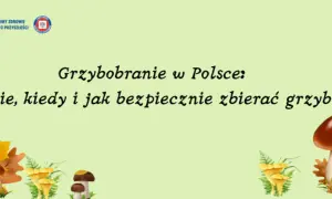 Grzybobranie w Polsce: gdzie, kiedy i jak bezpiecznie zbierać grzyby. Ilustracja przedstawia jesienne liście i różne gatunki grzybów w lesie.