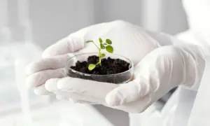 Co po maturze z biologii? Odkryj najlepsze kierunki i zawody