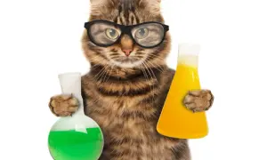 Jak uczyć się chemii skutecznie i unikać najczęstszych błędów