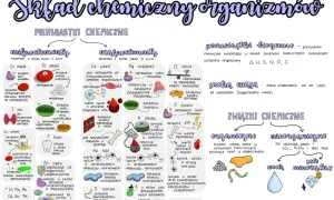Schemat przedstawia budowę chemiczną organizmów, dzieląc pierwiastki na mikro- i makroelementy, a związki na organiczne i nieorganiczne.
