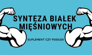 Dwa umięśnione ramiona symbolizują, jak wzmaga syntezę białek mięśniowych. Pytanie: suplement czy posiłek?
