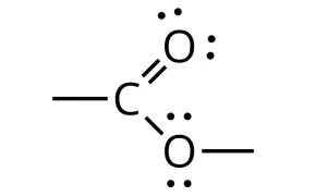 Struktura CO2. Dwa wiązania podwójne C=O i wolne pary elektronów. Czy CO2 jest polarne?
