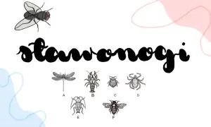 Ilustracje przedstawiają różnorodne stawonogi, od ważki po pszczołę, ukazując bogactwo biologii rozszerzonej.