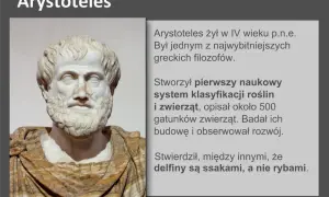 Busta Arystotelesa, filozofa, który stworzył pierwszy naukowy system klasyfikacji organizmów, opisując rośliny i zwierzęta.