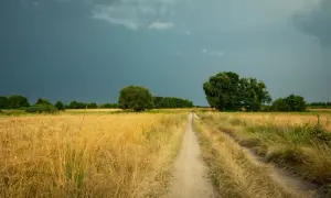 Jak to działa klimat i pogoda? Zrozum różnice i ich wpływ