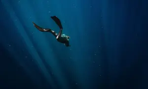 Nurkowiec w płetwach zanurza się w głębinach, gdzie światło słoneczne tworzy snopy. To fascynujące życie w oceanach.