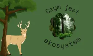Konkurencja w biologii – zrozumienie jej roli i wpływu na ekosystemy