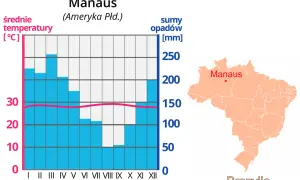 Co powoduje gorący i wilgotny klimat lasów równikowych? Zaskakujące fakty