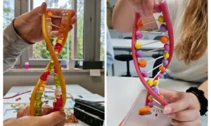 Jak zrobić model DNA z koralików? Dwie ręce tworzą podwójną helisę z żelków i plasteliny, pokazując kreatywny sposób na naukę biologii.