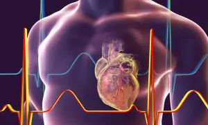 Anatomia serca z widoczną prawą komorą, otoczona wykresami EKG, symbolizującymi pracę serca.