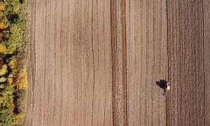 Klimat monsunowy – kluczowe cechy i wpływ na rolnictwo