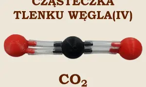 Model cząsteczki CO2. Czarny atom węgla połączony z dwoma czerwonymi atomami tlenu. Pokazuje, co2 jakie to wiązanie.