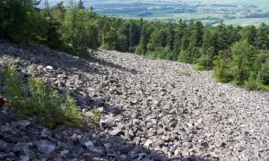 Kamieniste zbocze porośnięte drzewami, krajobraz przypominający ten z czasów, gdy panował co to klimat peryglacjalny.