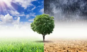 Co zmienia klimat? Poznaj przyczyny i skutki zmian klimatycznych