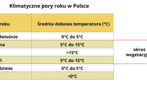 Tabela pokazuje, jaki mamy klimat w Polsce: pory roku i średnie temperatury. Wiosna i jesień to okresy wegetacyjne.