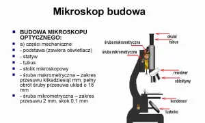 Rysunek przedstawia budowę mikroskopu optycznego z zaznaczonymi elementami: okular, tubus, śruby makrometryczne, rewolwer, obiektywy, kondensor i lusterko.
