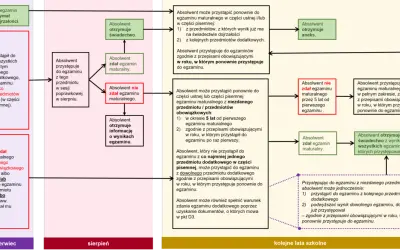 Schemat dla biologia klasa 3 liceum: ścieżki absolwenta po maturze, zdaniu lub niezdaniu egzaminów, poprawkach i kolejnych próbach.