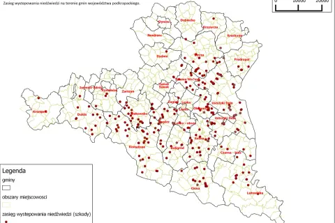 Mapa pokazuje, czy w Polsce są niedźwiedzie. Czerwone kropki oznaczają zasięg występowania niedźwiedzi w województwie podkarpackim.