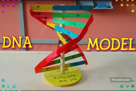 Jak zrobić DNA na biologię: proste kroki do stworzenia modelu