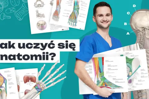 Uśmiechnięty student medycyny prezentuje materiały edukacyjne, pokazując jak się uczyć anatomii. Widoczne są ilustracje kości, mięśni i stawów.