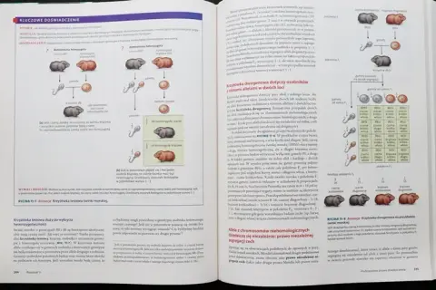Biologia Villego czy Campbella - który podręcznik jest lepszy?