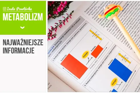 Co to jest metabolizm w biologii? Zrozum jego kluczowe znaczenie