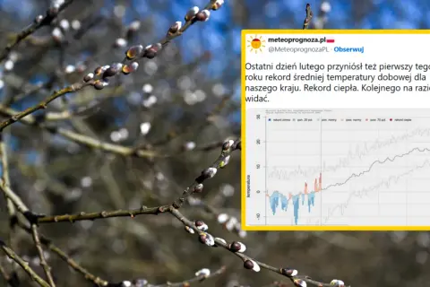 Wykres pokazuje rekordowe średnie temperatury w Polsce na przestrzeni lat. Widać wyraźnie odchylenia od normy, z dominacją rekordów ciepła.