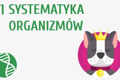 Co to jest systematyka w biologii i dlaczego jest tak ważna?