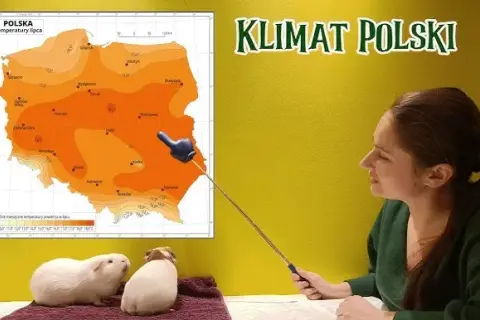 Co kształtuje klimat i opady w Polsce? Odkryj kluczowe czynniki