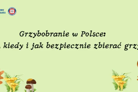 Grzybobranie w Polsce: gdzie, kiedy i jak bezpiecznie zbierać grzyby. Ilustracja przedstawia jesienne liście i różne gatunki grzybów w lesie.