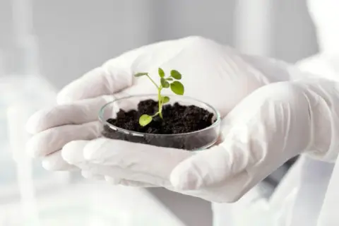 Co po maturze z biologii? Odkryj najlepsze kierunki i zawody