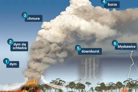 Schemat wyjaśniający pożary w Australii: dym, chmura, burza, downburst i błyskawice.