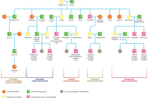 Drzewo genealogiczne przedstawiające krzyżówki genetyczne cechy sprzężone z płcią, z zaznaczonymi nosicielkami i chorymi na hemofilię.