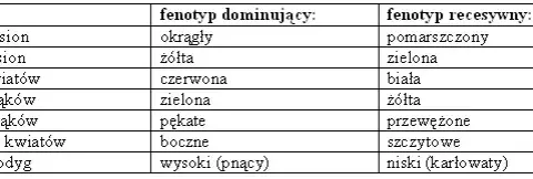 Biologia: Czym jest genetyka i jak wpływa na dziedziczenie cech