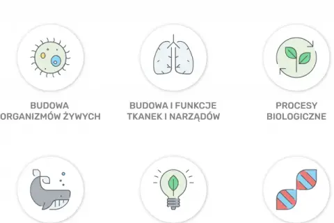 Co na maturze z biologii? Kluczowe zagadnienia, które musisz znać