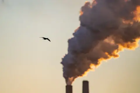 Ptak leci na tle dymu z komina, symbolizującego stężenie CO2 w atmosferze.