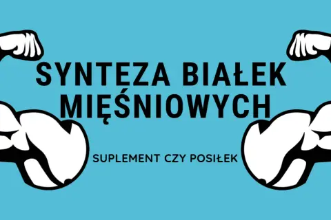 Dwa umięśnione ramiona symbolizują, jak wzmaga syntezę białek mięśniowych. Pytanie: suplement czy posiłek?