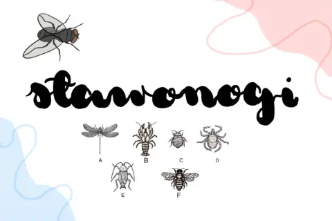 Ilustracje przedstawiają różnorodne stawonogi, od ważki po pszczołę, ukazując bogactwo biologii rozszerzonej.