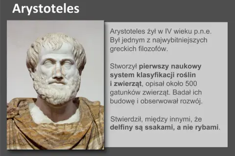 Busta Arystotelesa, filozofa, który stworzył pierwszy naukowy system klasyfikacji organizmów, opisując rośliny i zwierzęta.