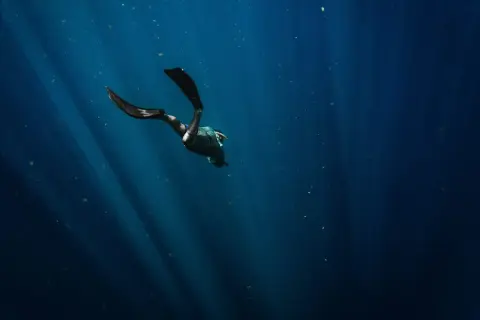 Nurkowiec w płetwach zanurza się w głębinach, gdzie światło słoneczne tworzy snopy. To fascynujące życie w oceanach.